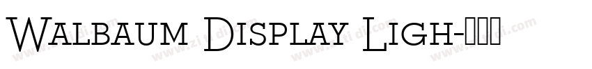 Walbaum Display Ligh字体转换